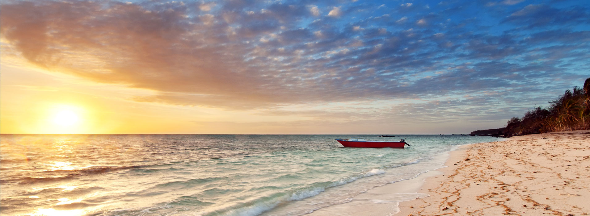 Beaches & Reefs